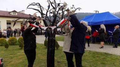 Szczawieński Dąb Wolności