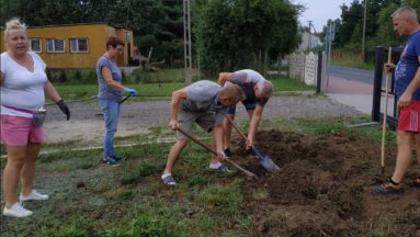 Uczestnicy projektu podczas wykonywania nasadzeń.