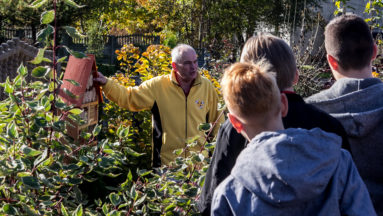 Warsztaty pszczelarskie w książenickim arboretum