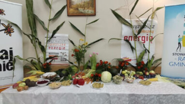 Stół zastawiony własnoręcznie wykonanymi produktami