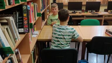 Zdjęcie przedstawia chłopców siedzących przy stoliku i grających w gry planszowe. W tle regały z książkami