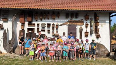 Warsztaty przyrodnicze w "ProNaturze"