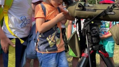 Gdzie ten suseł?- obserwacje w terenie