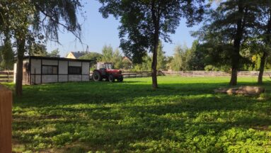 Na zdjęciu łąka ocieniona drzewami. W tle budynek oraz traktor, który zaraz będzie zaangażowany w budowę ścieżki sensorycznej.