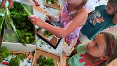 Na zdjęciu znajdują się dzieci. Przy stole tworzą wspólnie obrazy z mchu, który leży rozsypany na stole. Dzieci są zaangażowane i skupione