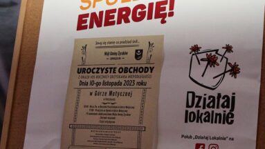 Na tablicy korkowej znajduje się plakat projektu przedstawiający także logo Działaj Lokalnie oraz hasło "Wyzwalamy społeczną energię"