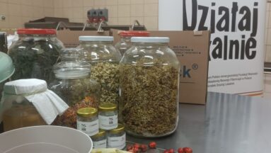 Składniki gotowe do przetworzenia na oxymel i herbaty