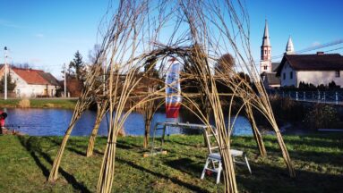 Wyplatanie wierzbowej altany