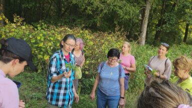 Spacer ziołowy - zdjęcie przedstawia grupę osób w lesie otaczającą prowadzącą Magdalenę Mildner fitoterapeutę i zielarkę, która prezentuje rośliny.