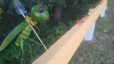 Prawdziwą atrakcją stały się metalowe owady - mrówki i świerszcze, które dały wyjątkowy urok temu miejscu.